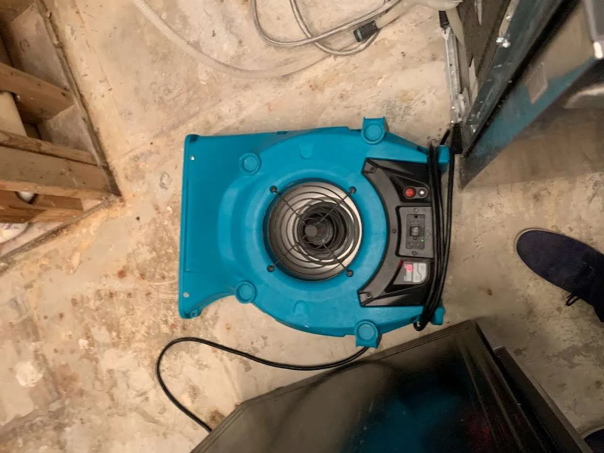 Air mover drying equipment for Mold Remediation & Removal in Keene